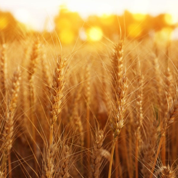 7 Blessings of Being a Soul&nbsp;Winner