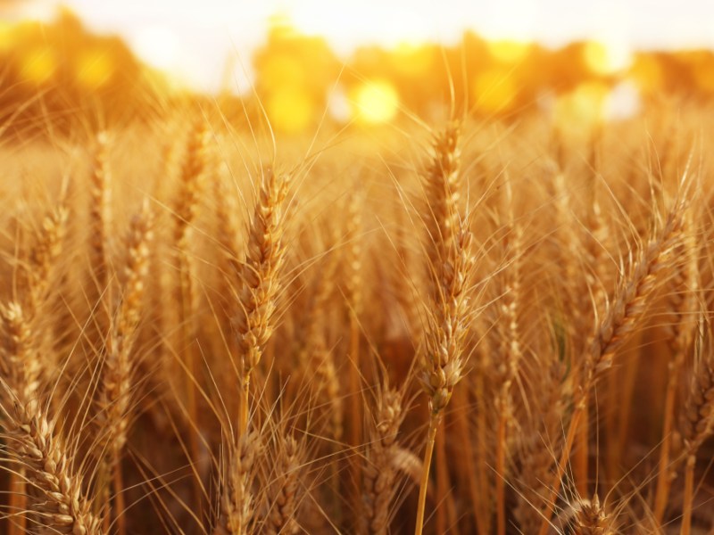 7 Blessings of Being a Soul&nbsp;Winner