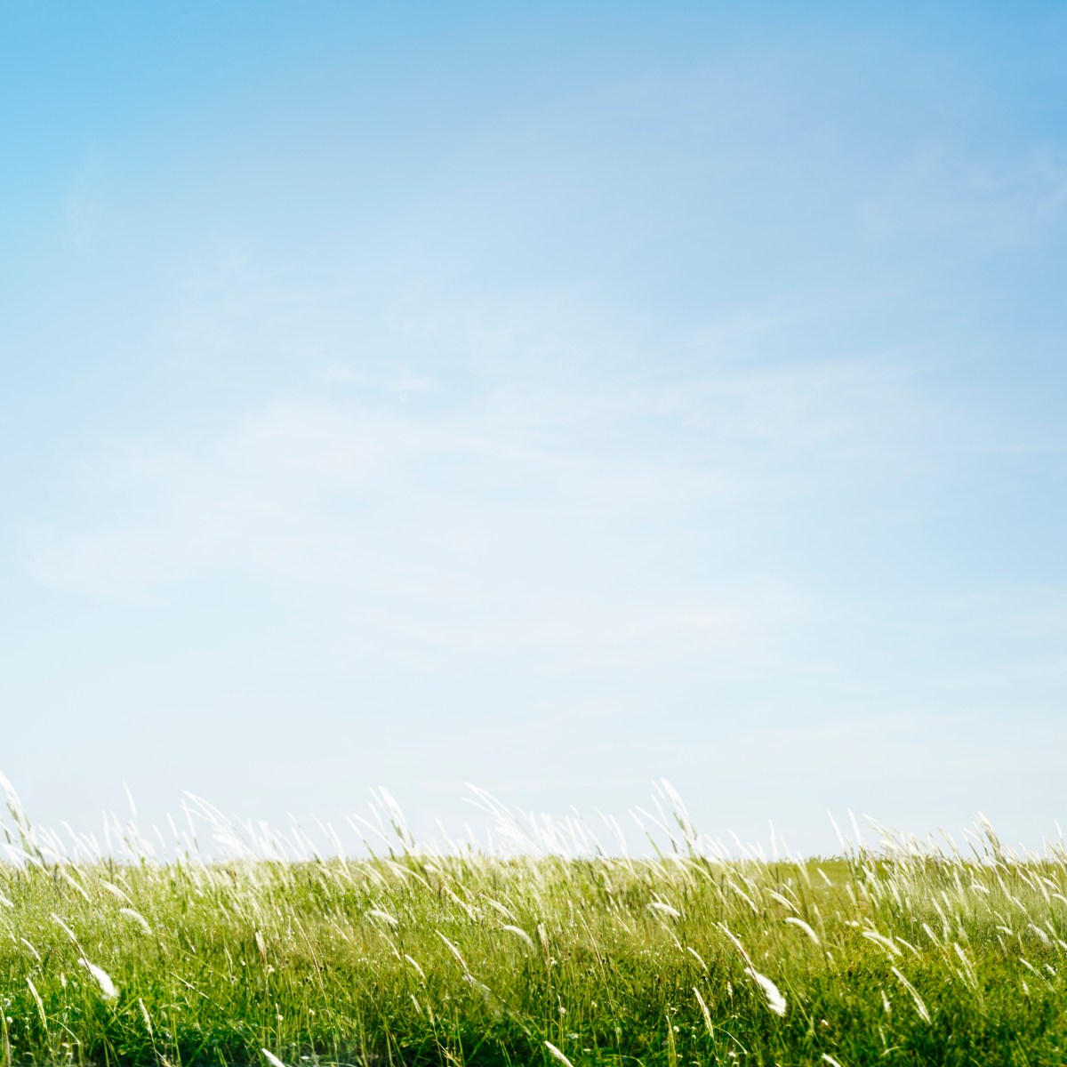 How to Enjoy the Presence of&nbsp;God